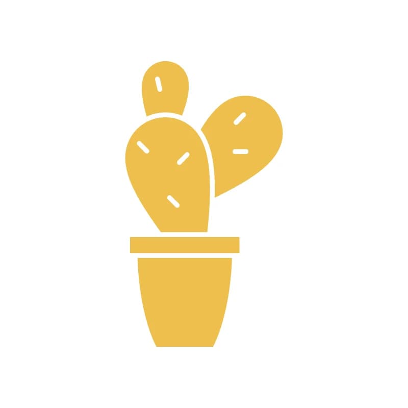 Collection of small, trendy succulent plants in geometric pots
